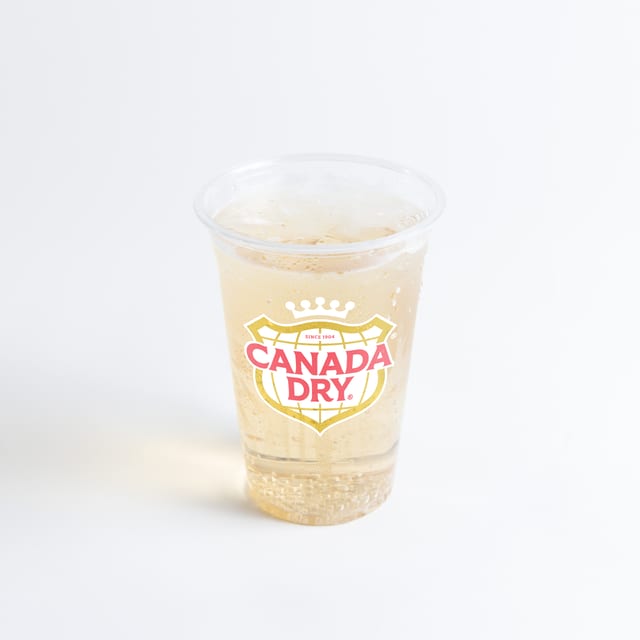 Can Ginger Ale.