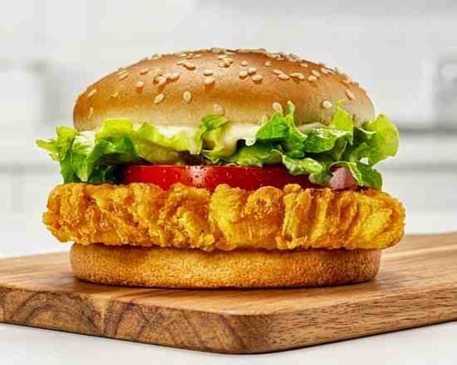 Chicken Burger with fries.